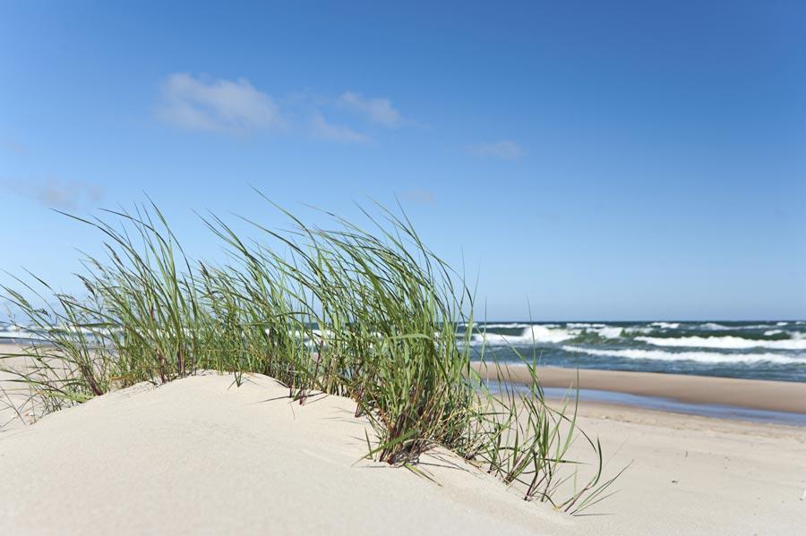 Elija Apartments Palanga Eksteriør bilde